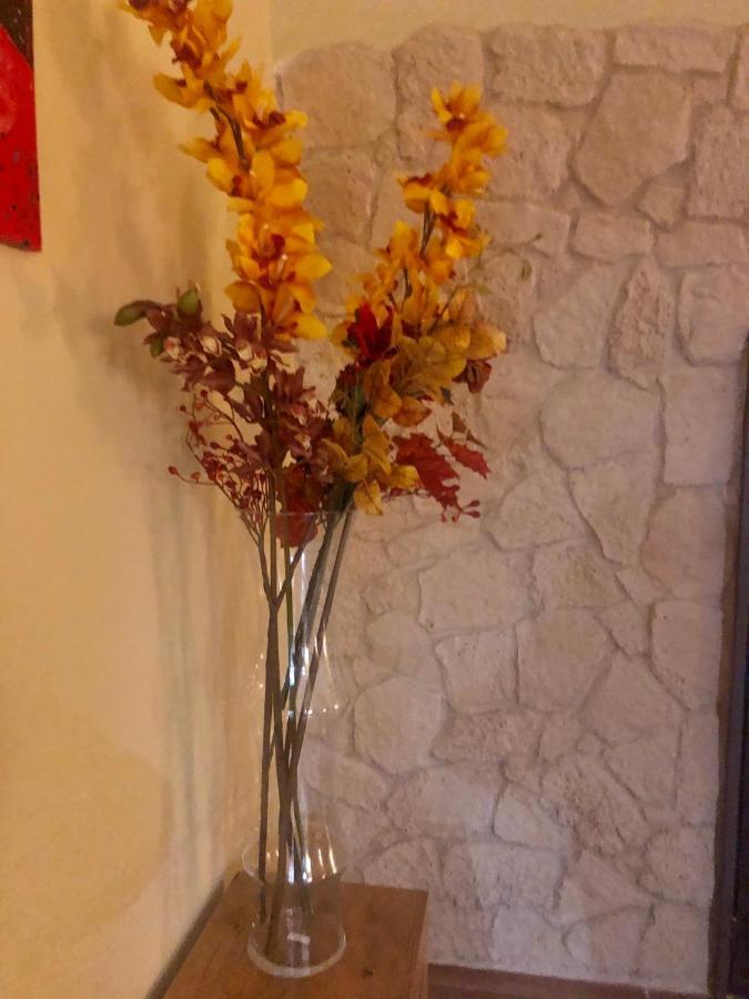 Al Vecchio Arco Appartament Apartment